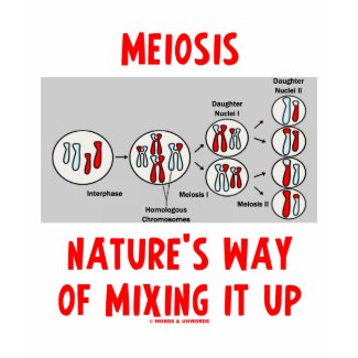 Meiosis Nature's Way Of Mixing It Up zazzle_shirt