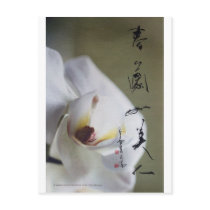 meitokai postcard 4 by ravig meitokai postcard 4