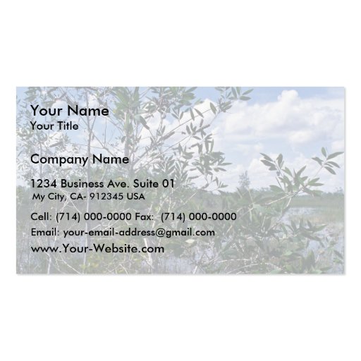 Melaleuca in swamp area business card templates (front side)