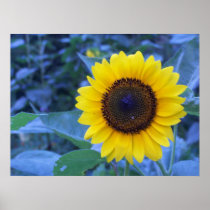 Melancholy Print