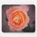 Melancholy Rose mousepads by Romance_In_Bloom Melancholy Rose mousepads
