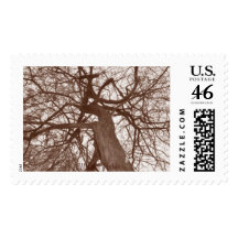 Melanie Hobbs Stamp