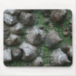 Melb. Botanical Gardens 5 mousepad