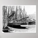 Melbourne, 1903:  The Alma Doepel Posters