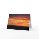 Melbourne Sunset Greeting Card by Frogglin Melbourne Sunset Greeting Card