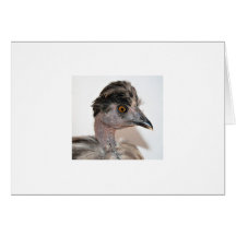 Melchior Note card