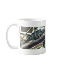 Meller’s Chameleon - Chamaeleo melleri Promo mugs by LisasLair Meller’s Chameleon - Chamaeleo melleri Promo mugs