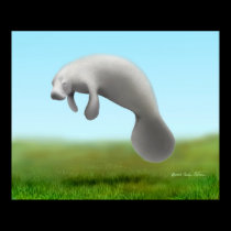 Mellow Florida Manatee posters