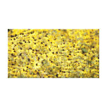 Mellow Yellow Gallery Wrapped Canvas