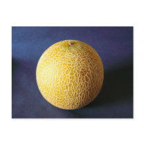Melon / Cantaloupe postcards