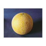 Melon / Cantaloupe Post Cards