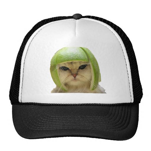 melon cat trucker hat Zazzle