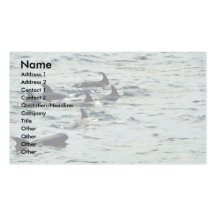 Melon-headed whale business card