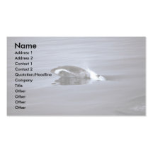 Melon-headed whale business card templates