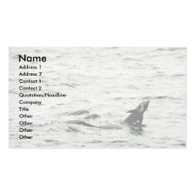 Melon-headed whale business cards