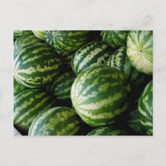 Melons postcard