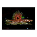 Melting Gerber Daisy posters