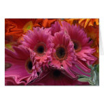 Melting Pink Flowers Greeting Cards
