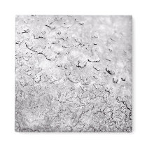 Melting Snow magnets