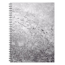 Melting Snow notebooks