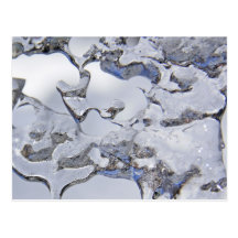Melting Snow Postcards