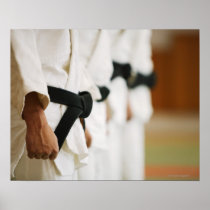 Members of a Judo Dojo Lined Up Print