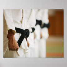 Members of a Judo Dojo Lined Up Print