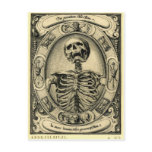 Memento Mori postcards