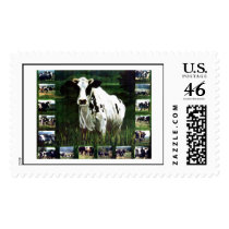 meMOOries Postage Stamps