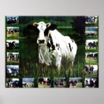 'meMOOries' Print