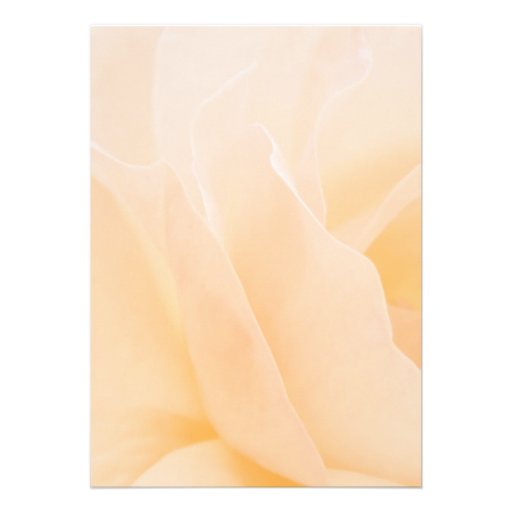 Memorial / Announcement