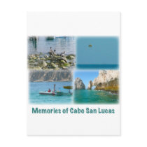 Memories of Cabo San Lucas Post Card