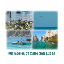 Memories of Cabo San Lucas t-shirts