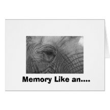 Memory Like an.... Card