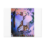 memory loss post cards