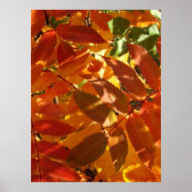 Memory of Autumn Poster