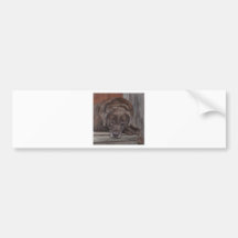 Memphis Original Artwork by Heather Carter Bumper Stickers