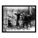 Men Playing Jazz Music by a Polar Bear 1924 posters by lc_vintagephotos Men Playing Jazz Music by a Polar Bear 1924 posters