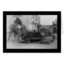 Men Traveling by Elephant in India 1903 Card