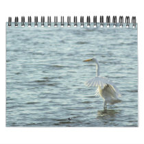 Menagerie calendars