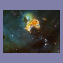 Menagerie of Stars posters