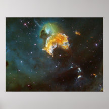 Menagerie of Stars Posters