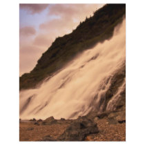 Mendenhall Glacier Falls Flyer Design