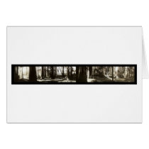Mendocino, CA Redwoods Lumberjacks Photo 1911. cards by lc_panoramicphotos Mendocino, CA Redwoods Lumberjacks Photo 1911. cards