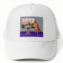 Menorah Cat Mesh Hat