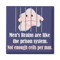 Men's Brains magnets by Spice Men's Brains magnets