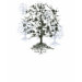EDUN LIVE Genesis Unisex Standard Crew