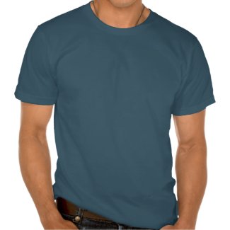 Men's Organic T-Shirt Black/Grey DF Logo