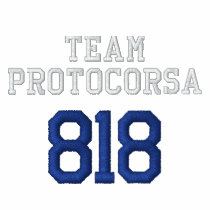 Men's ProtoCorsa Lined Zipup Hoodie embroidered shirts
