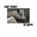 Men's Shirt, Wild Boar, "Don't Worry, Be Happy" by kdpurdy Men's Shirt, Wild Boar, "Don't Worry, Be Happy"